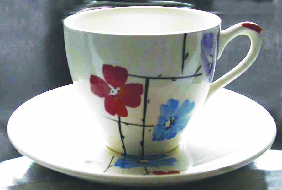 1167F Flat Cup & Saucer Set by Myott Staffordshire-1