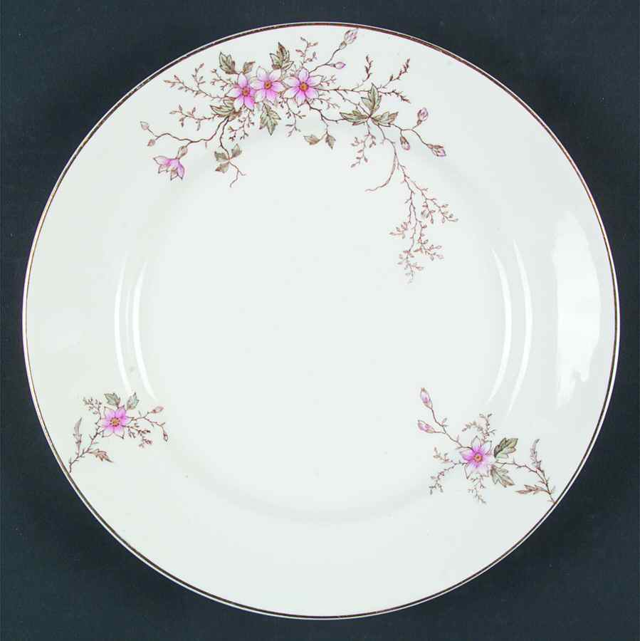 MAD163 Dinner Plate by John Maddock & Sons-1