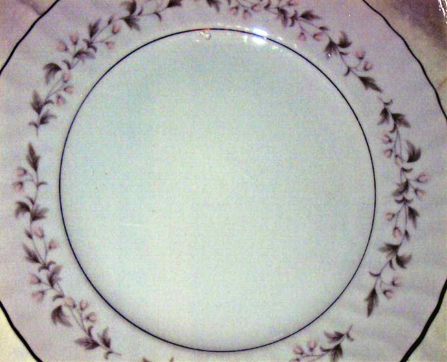 MZH1 Dinner Plate by Mizuho China (Japan)-1