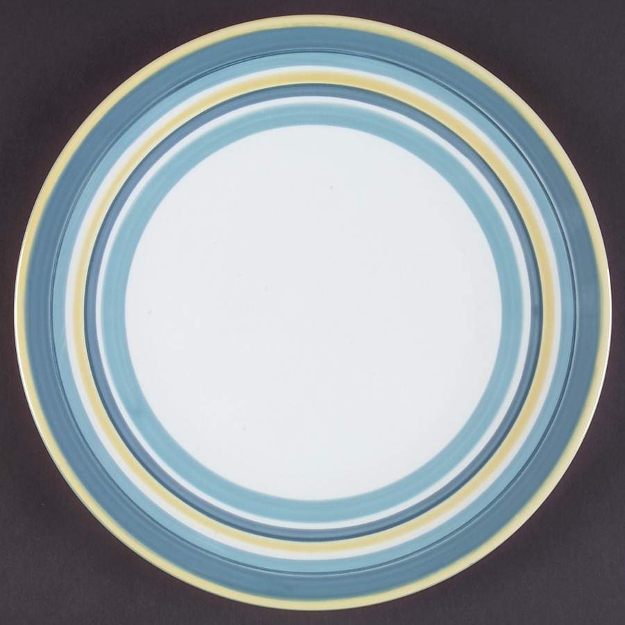 Striped Dinner Plate by Martha Stewart-1