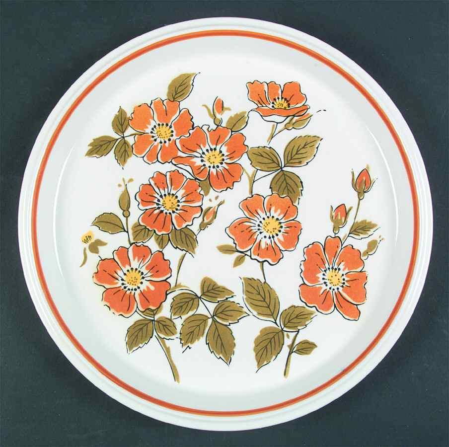 Go Go Dinner Plate by Mikasa-1