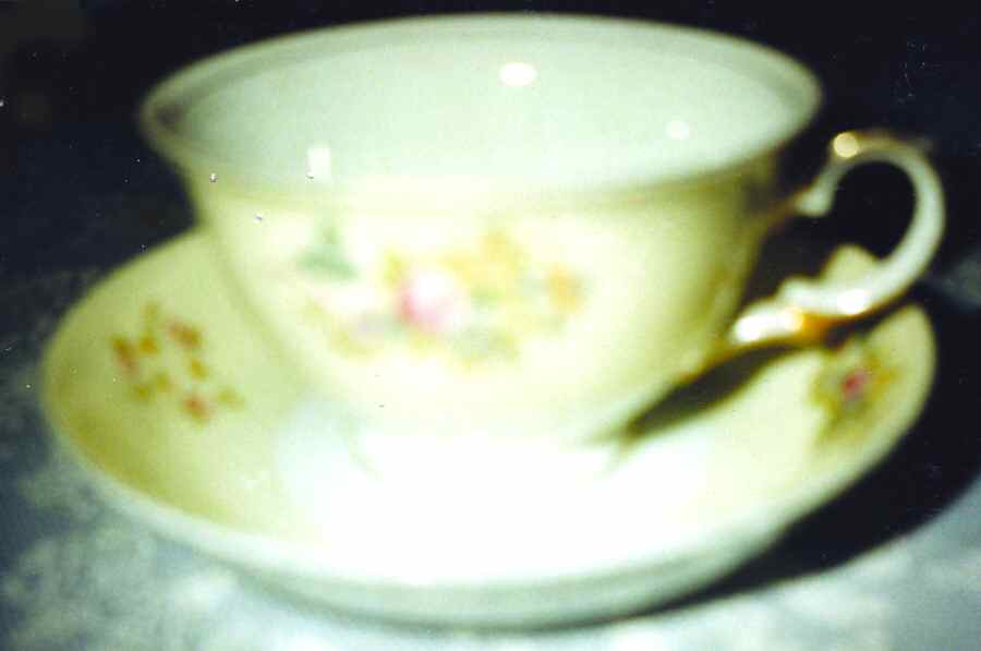 MEI946 Footed Cup & Saucer Set by Meito-1