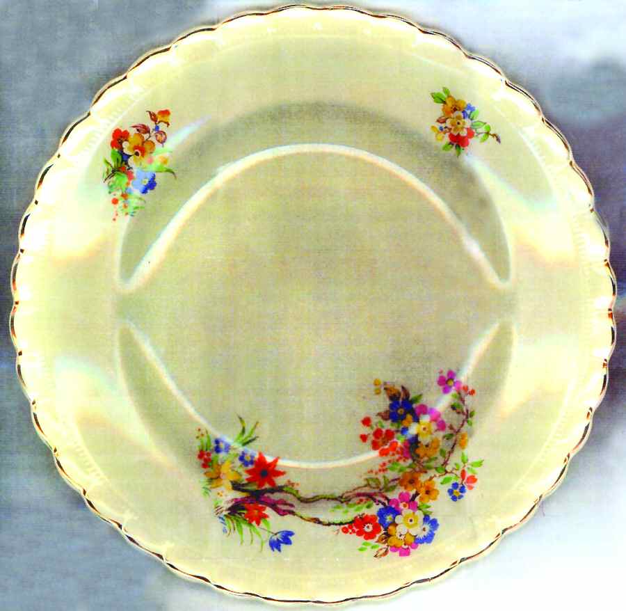 MEK188 Dinner Plate by J & G Meakin-1