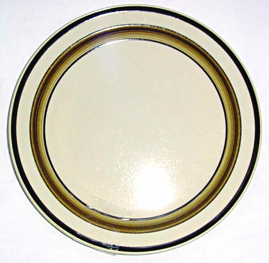 Palmetto Dinner Plate by Mikasa-1