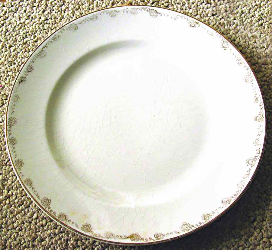 MCN35 Dinner Plate by McNicol-1