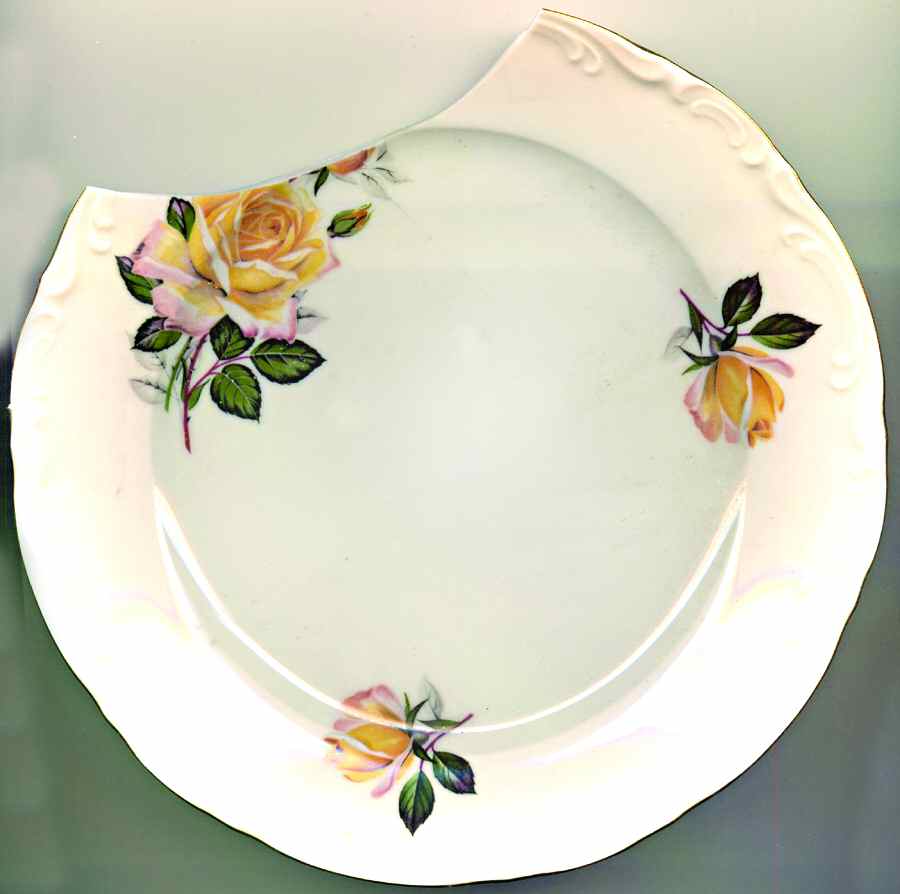 MIT177 Dinner Plate by Mitterteich-1