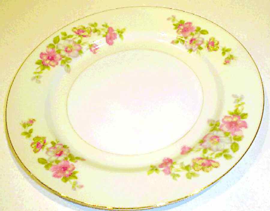 MSJ16 Dinner Plate by MS (Japan)-1