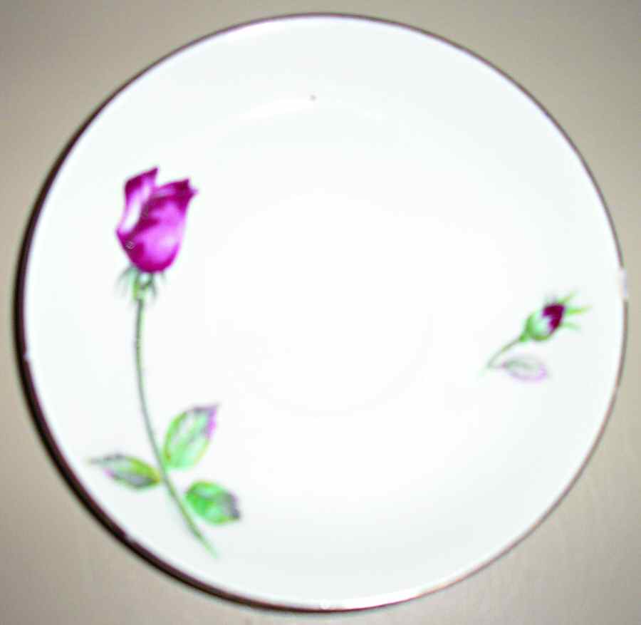 MEJ17 Dinner Plate by Meijyo (Japan)-1