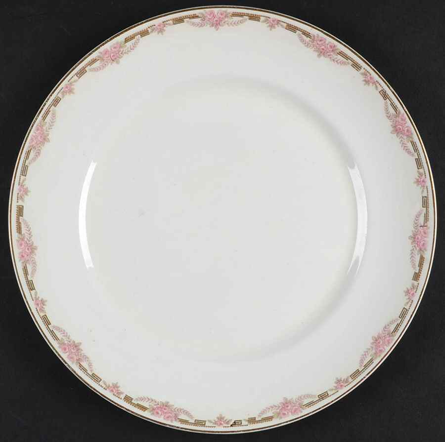 Overland Dinner Plate by Alfred Meakin-1