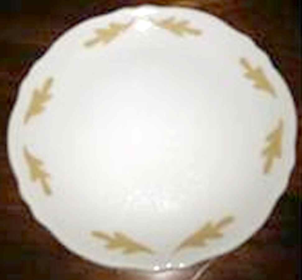 265 Dinner Plate by Mayer (American)-1