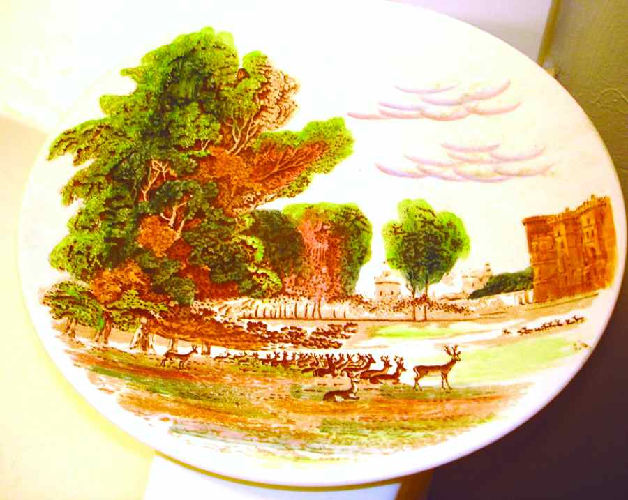 MAS44 Dinner Plate by Mason's-1