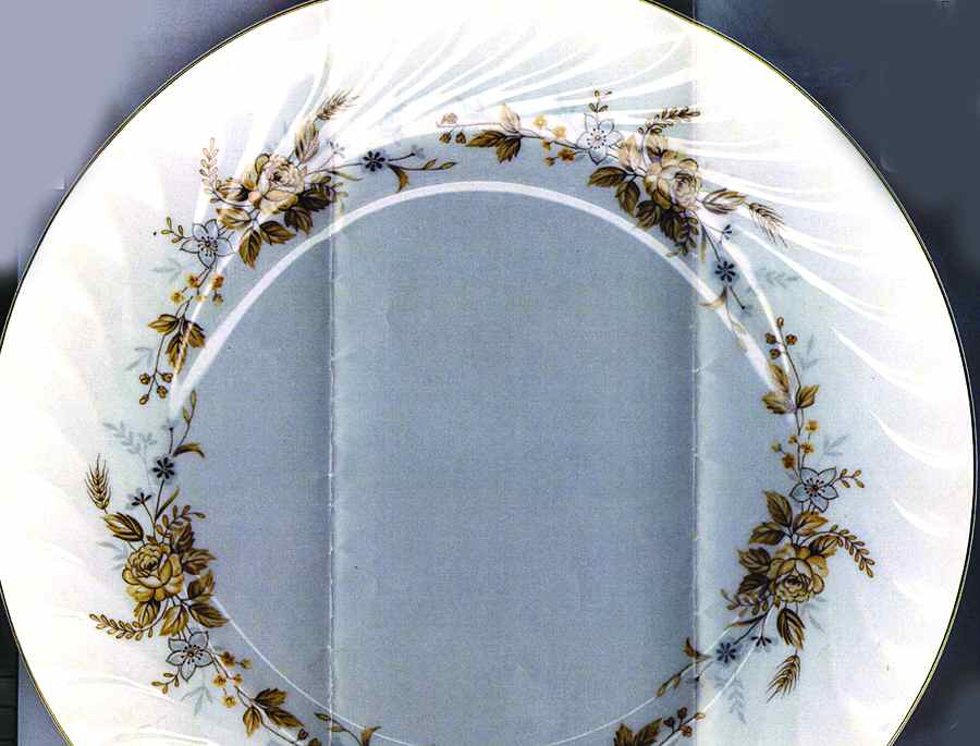 LUCINDA Dinner Plate by M Japan-1