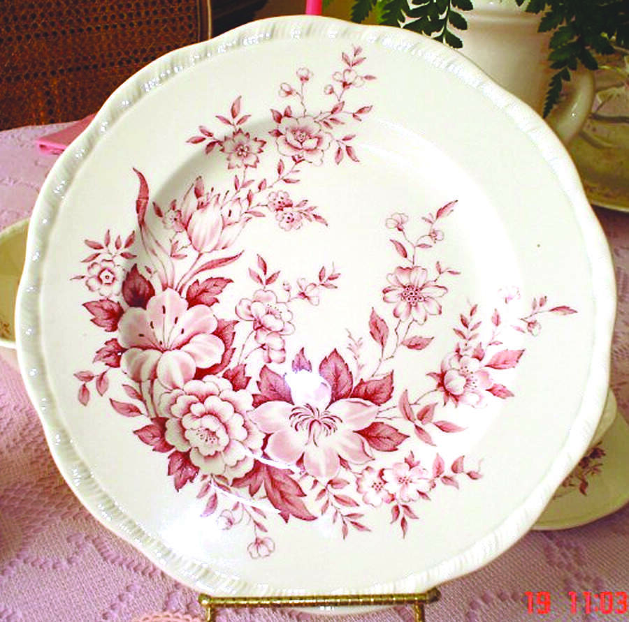 Garden Bounty (Red) Dinner Plate by Alfred Meakin-1