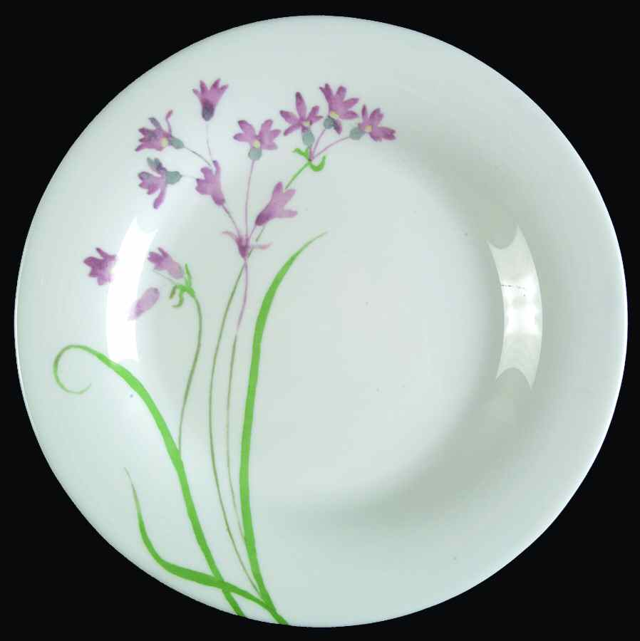 MTW5 Salad Plate by Martha Stewart-1