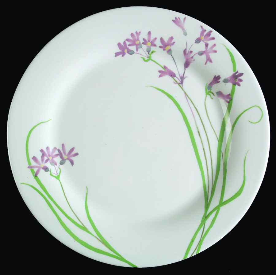 MTW5 Dinner Plate by Martha Stewart-1
