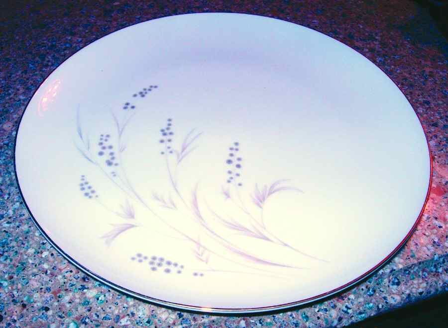Neva Dinner Plate by Mikasa-1