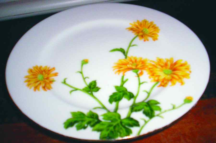 MMJ17 Saucer by MM Japan-1