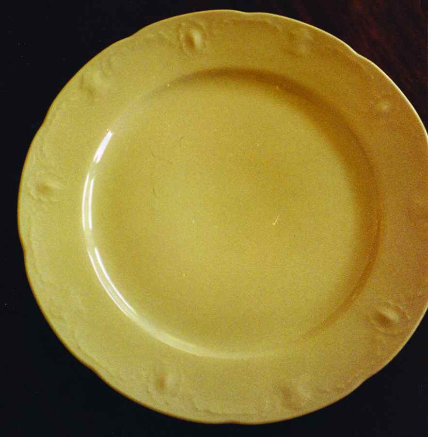 MIT190 Dinner Plate by Mitterteich-1