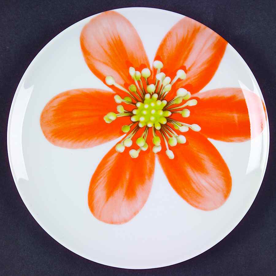 Spring Flowers Dessert/Pie Plate by Mikasa-1