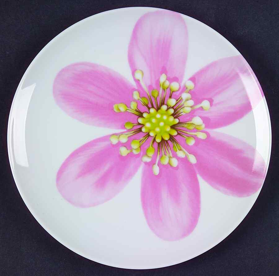 Spring Flowers Dessert/Pie Plate by Mikasa-1