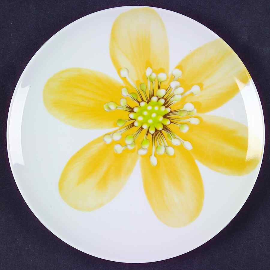 Spring Flowers Dessert/Pie Plate by Mikasa-1