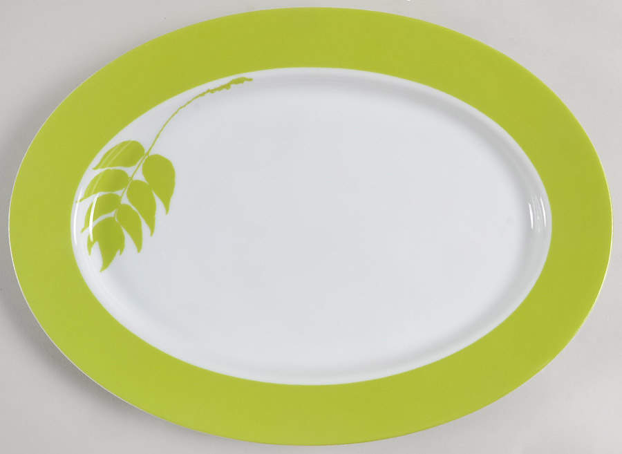 Thai Garden 14" Oval Serving Platter by Mikasa-1