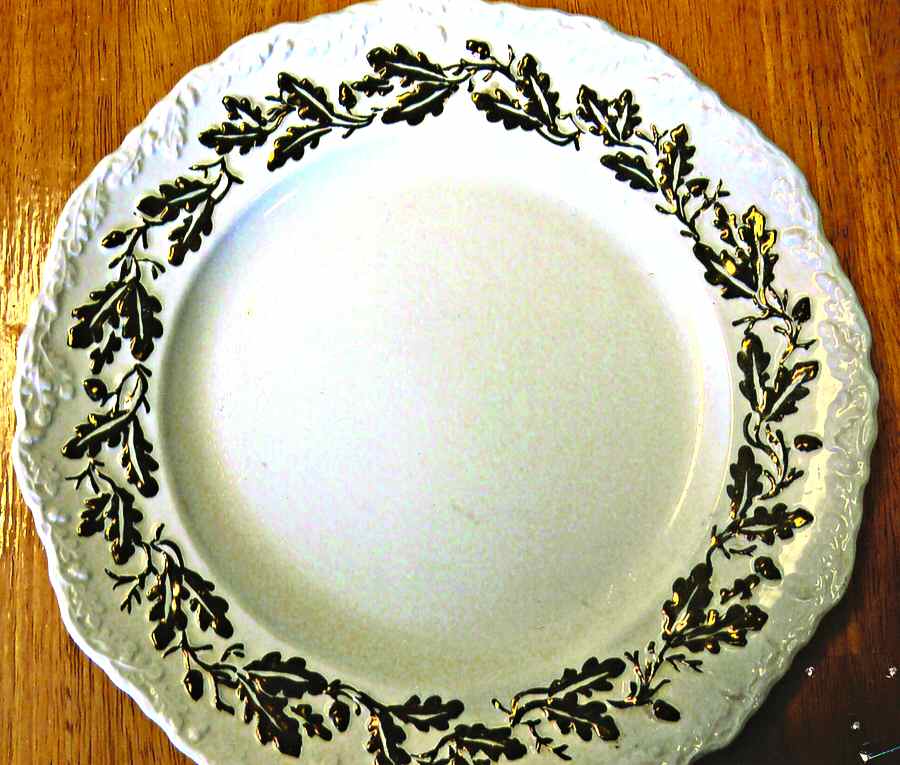 MAS49 Dinner Plate by Mason's-1