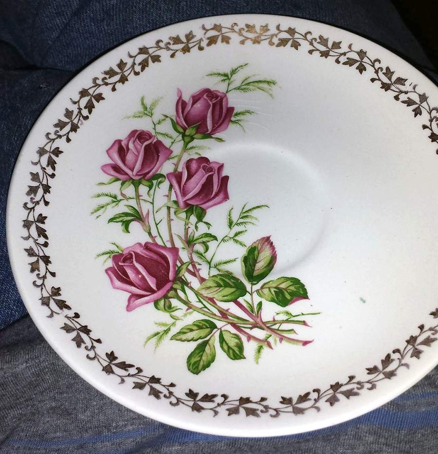 Anniversary Saucer by J & G Meakin-1