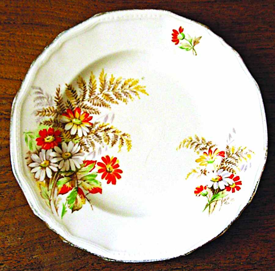 Ferndale Dinner Plate by Alfred Meakin-1