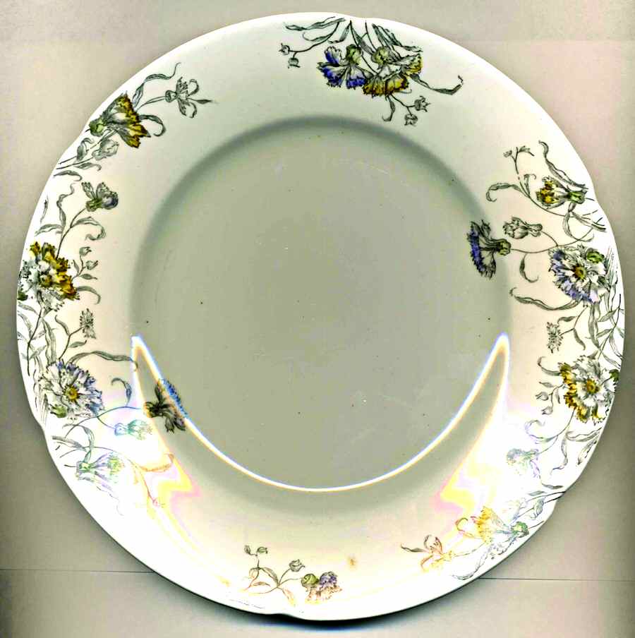 Boston Dinner Plate by J & G Meakin-1