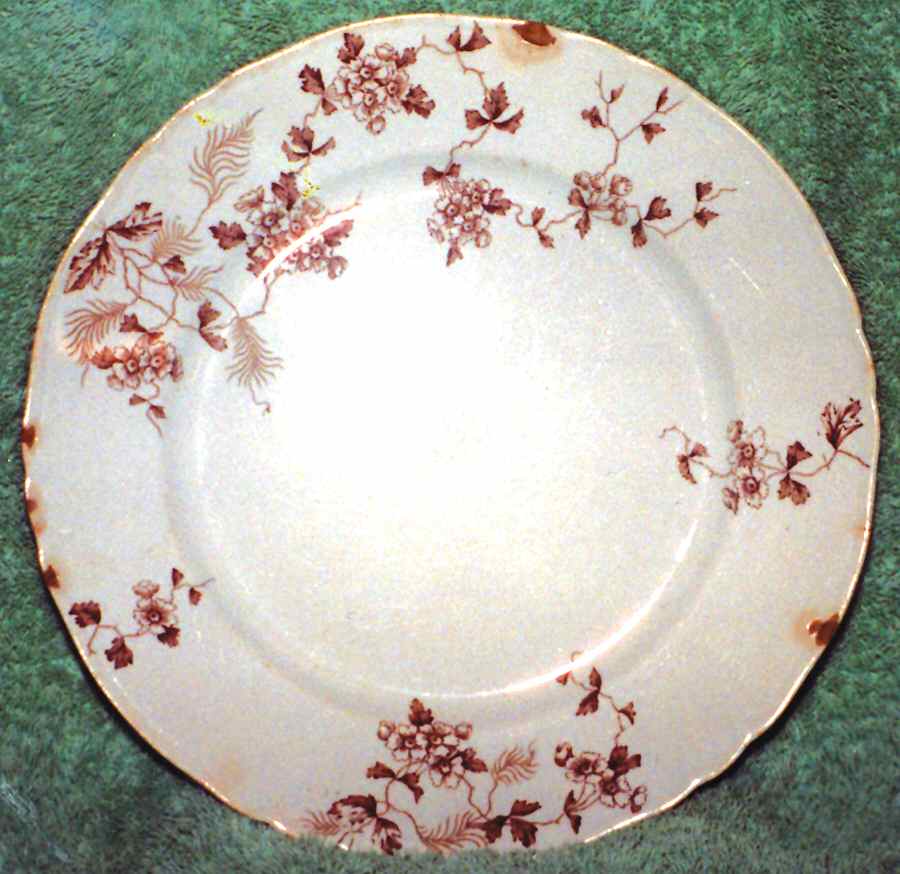 Blossom Dinner Plate by J & G Meakin-1