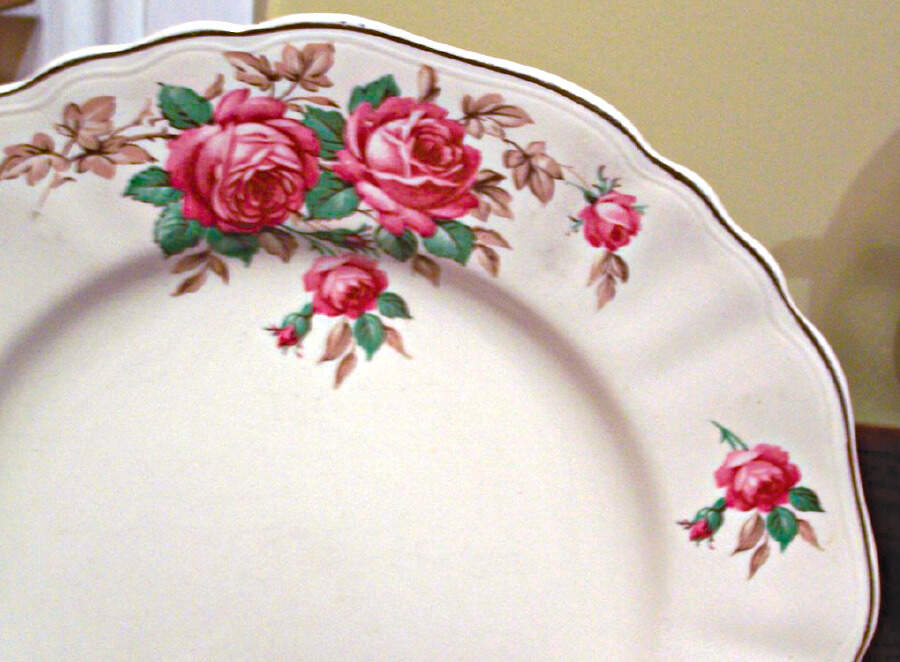 Delicia Dinner Plate by J & G Meakin-1