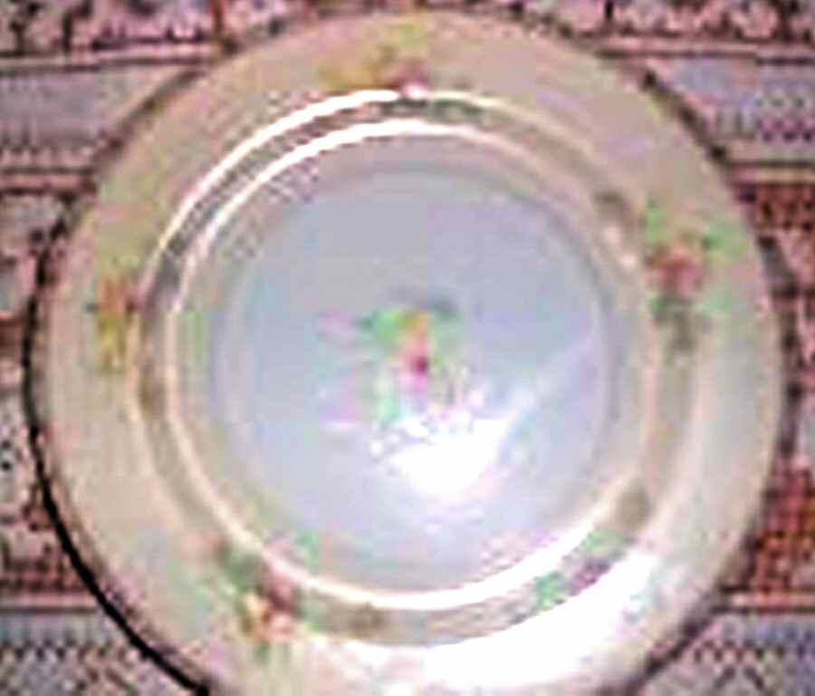 MSJ17 Dinner Plate by MS (Japan)-1