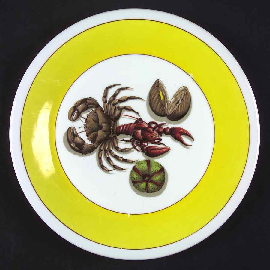 MOT48 Dinner Plate by Mottahedeh-1