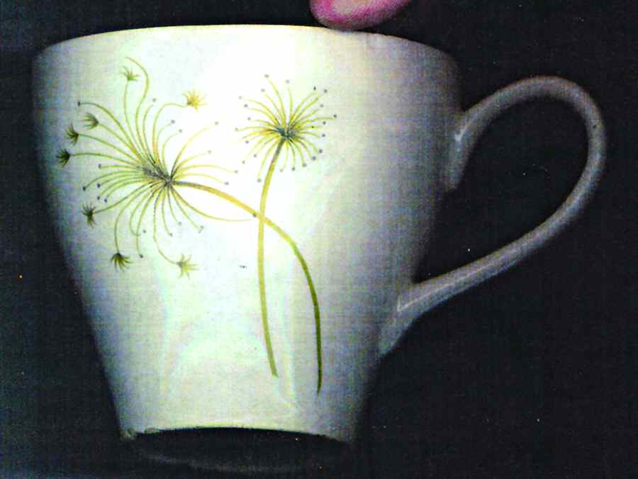 Wild Flowers Flat Cup by Mikasa-1