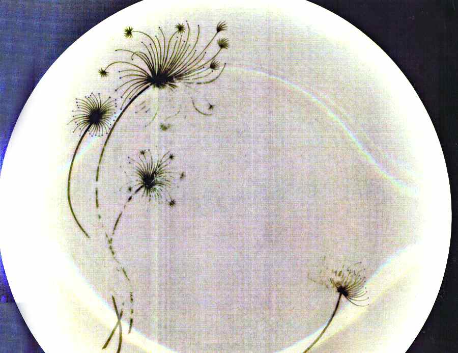 Wild Flowers Dinner Plate by Mikasa-1