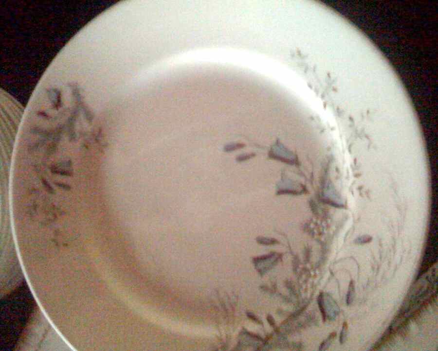MAD179 Dinner Plate by John Maddock & Sons-1