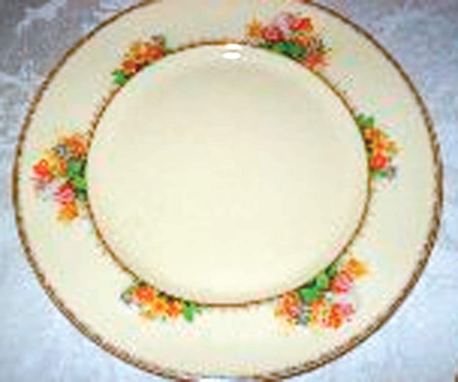 4751 Dinner Plate by Myott Staffordshire-1
