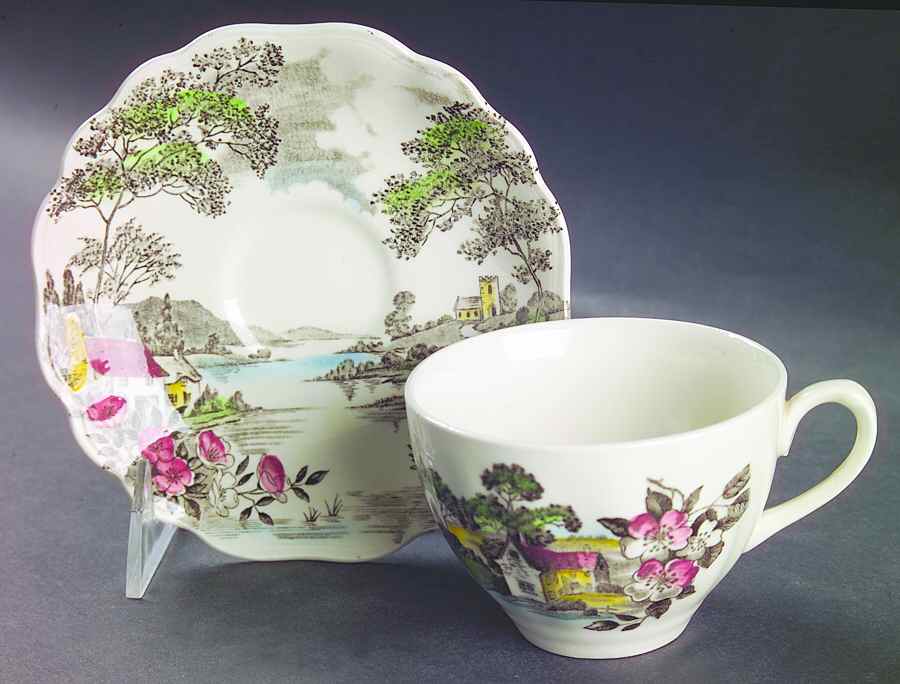 Olde Avon Dale (Multicolor with Yellow) Flat Cup & Saucer Set by J & G Meakin-1