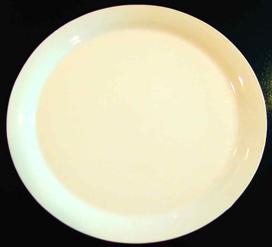 MTW10 Dinner Plate by Martha Stewart-1