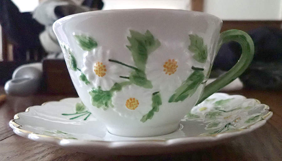S6521 Flat Cup & Saucer Set by Mottahedeh-1