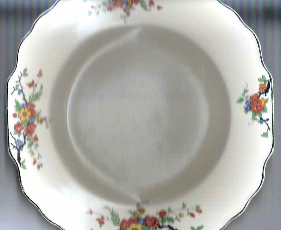2662 Dinner Plate by Myott Staffordshire-1