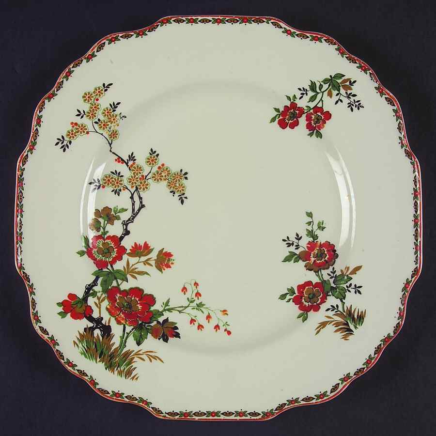 Wild Flower Dinner Plate by Myott Staffordshire-1