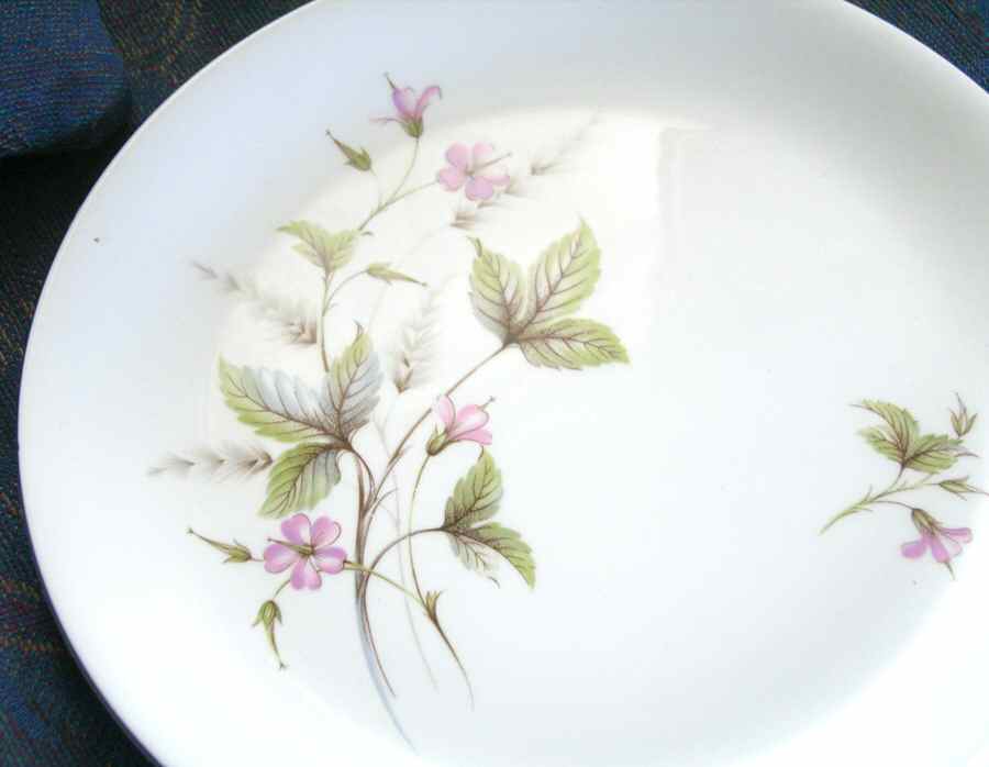 Margo Dinner Plate by Alfred Meakin-1