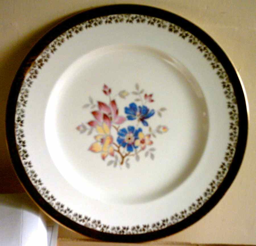 MEA242 Dinner Plate by Alfred Meakin-1