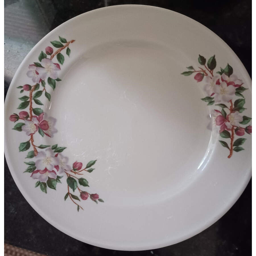 Blossom Hill Dinner Plate by Mayer (American)-1