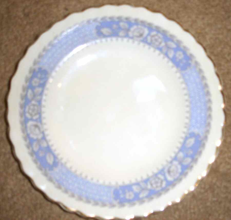 MEK248 Dinner Plate by J & G Meakin-1