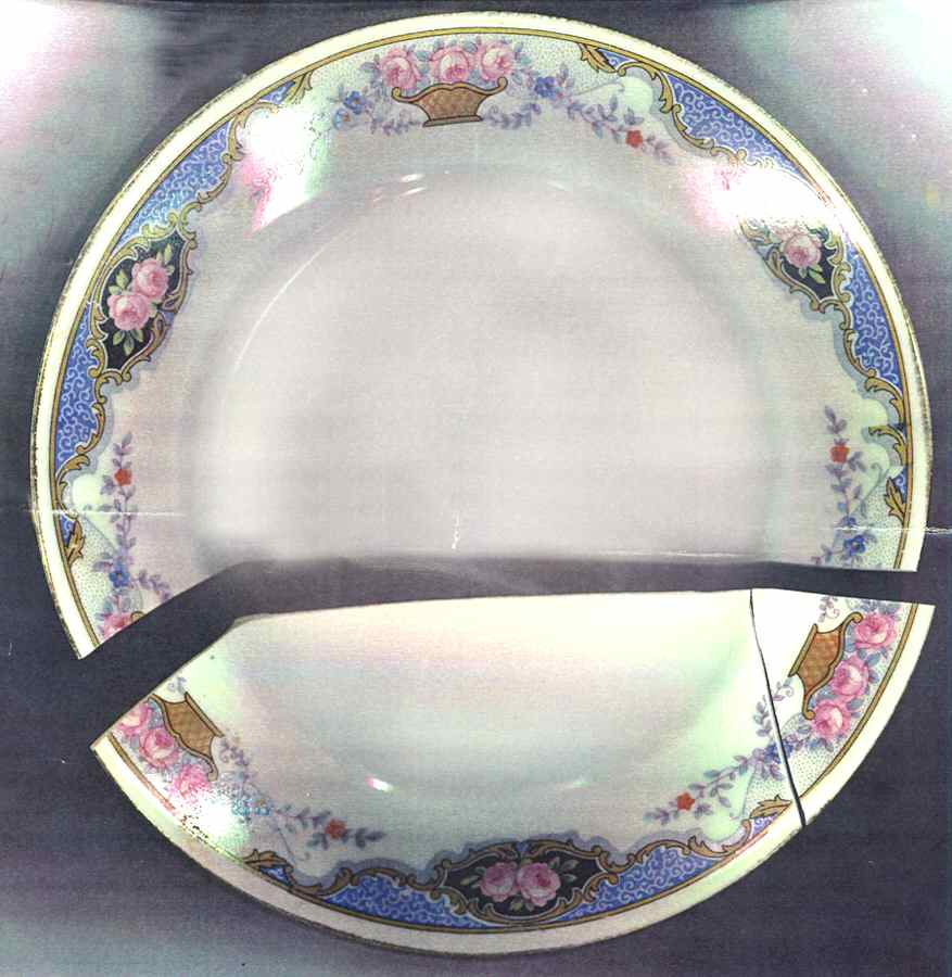 MPC34 Dinner Plate by Mepoco-1