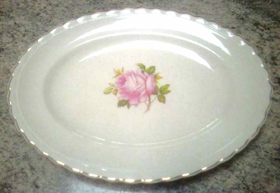 MEK266 Dinner Plate by J & G Meakin-1