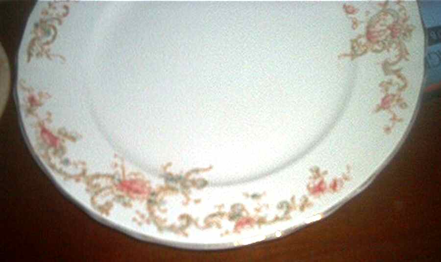 MAD198 Dinner Plate by John Maddock & Sons-1
